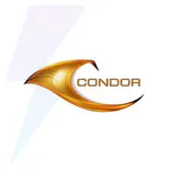 The Condor Group